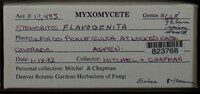 Image Associated With the Occurence